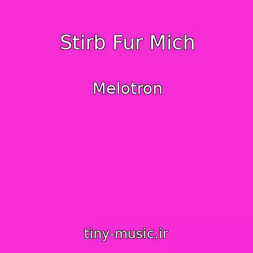 کاور آهنگ Stirb Fur Mich از Melotron