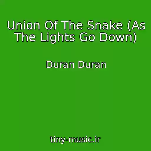 کاور آهنگ Union Of The Snake (As The Lights Go Down) از Duran Duran