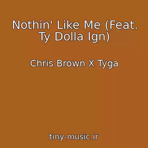 کاور آهنگ Nothin' Like Me (Feat. Ty Dolla Ign) از Chris Brown X Tyga