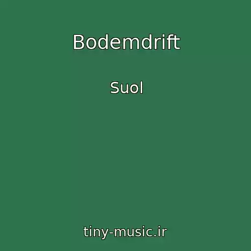 کاور آهنگ Bodemdrift از Suol