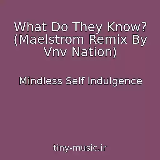 کاور آهنگ What Do They Know? (Maelstrom Remix By Vnv Nation) از Mindless Self Indulgence