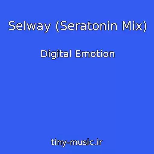کاور آهنگ Selway (Seratonin Mix) از Digital Emotion