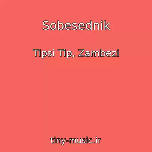 کاور آهنگ Sobesednik از Tipsi Tip, Zambezi