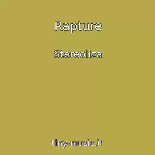 کاور آهنگ Rapture از Stereoliza