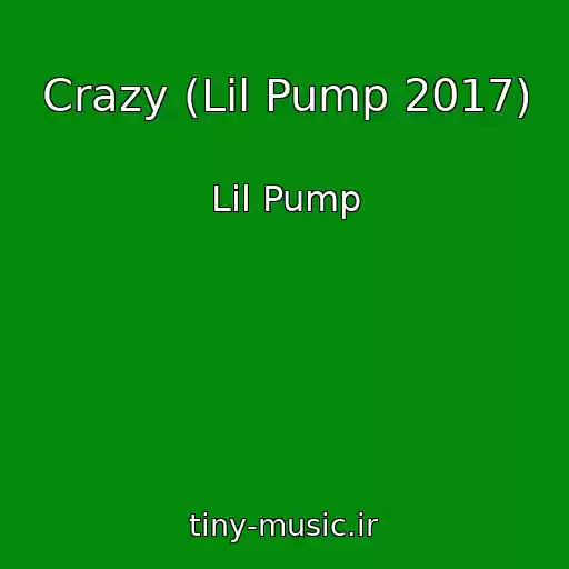 کاور آهنگ Crazy (Lil Pump 2017) از Lil Pump