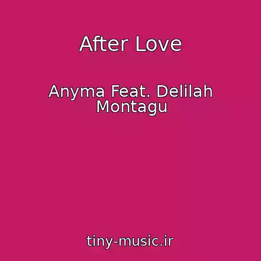 کاور آهنگ After Love از Anyma Feat. Delilah Montagu