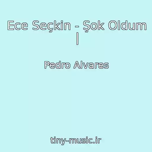 کاور آهنگ Ece Seçkin - Şok Oldum | از Pedro Alvares