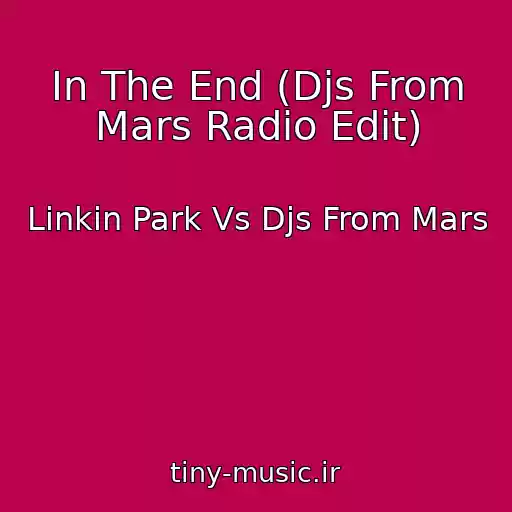 کاور آهنگ In The End (Djs From Mars Radio Edit) از Linkin Park Vs Djs From Mars