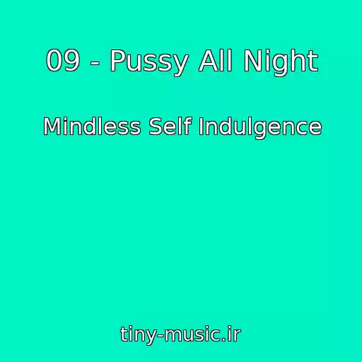 کاور آهنگ 09 - Pussy All Night از Mindless Self Indulgence