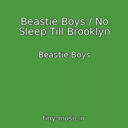 کاور آهنگ Beastie Boys / No Sleep Till Brooklyn از Beastie Boys