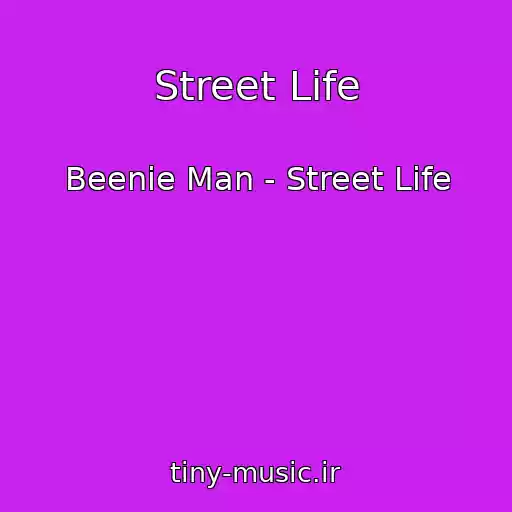 کاور آهنگ Street Life از Beenie Man - Street Life