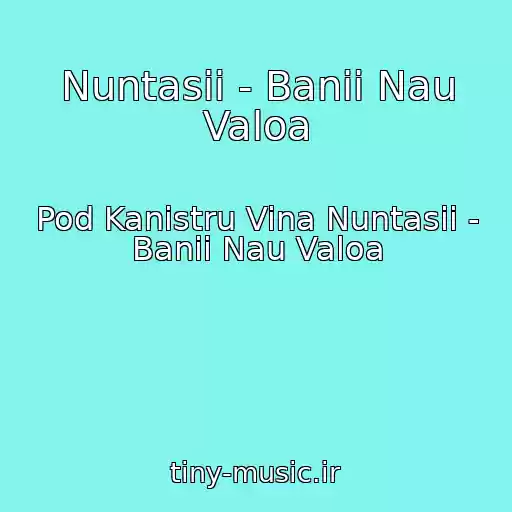 کاور آهنگ Nuntasii - Banii Nau Valoa از Pod Kanistru Vina Nuntasii - Banii Nau Valoa