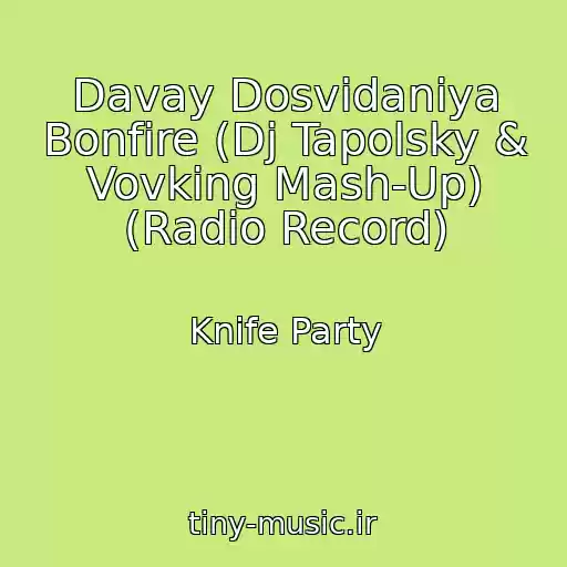 کاور آهنگ Davay Dosvidaniya Bonfire (Dj Tapolsky & Vovking Mash-Up) (Radio Record) از Knife Party