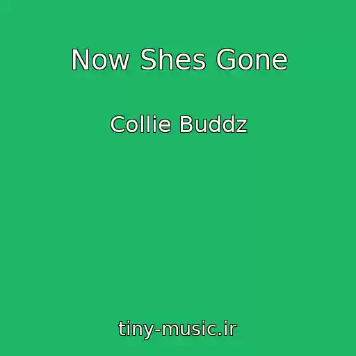 کاور آهنگ Now Shes Gone از Collie Buddz