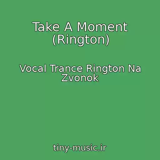کاور آهنگ Take A Moment (Rington) از Vocal Trance Rington Na Zvonok