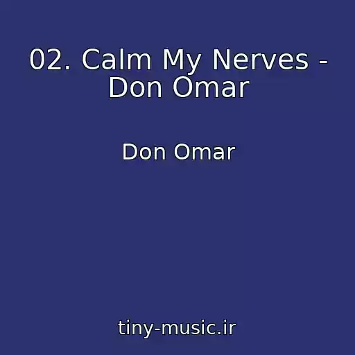 کاور آهنگ 02. Calm My Nerves - Don Omar از Don Omar