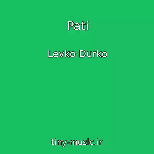 کاور آهنگ Pati از Levko Durko