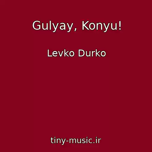 کاور آهنگ Gulyay, Konyu! از Levko Durko