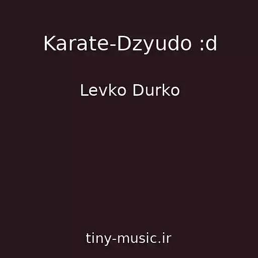 کاور آهنگ Karate-Dzyudo :d از Levko Durko
