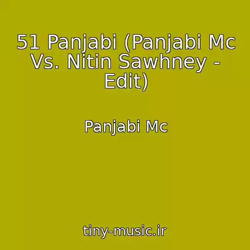 کاور آهنگ 51 Panjabi (Panjabi Mc Vs. Nitin Sawhney - Edit) از Panjabi Mc