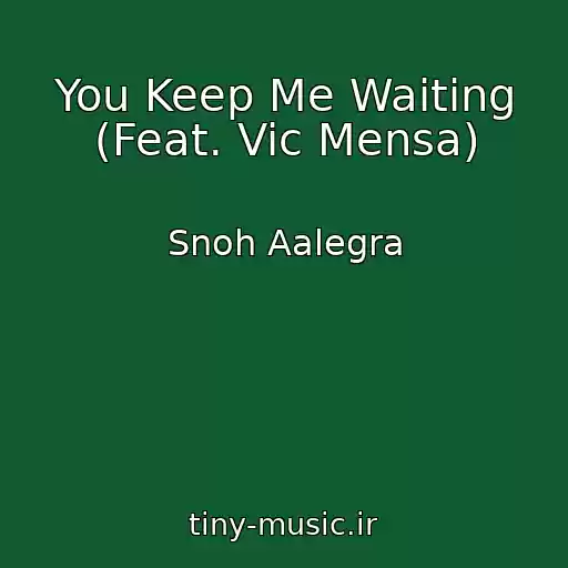 کاور آهنگ You Keep Me Waiting (Feat. Vic Mensa) از Snoh Aalegra