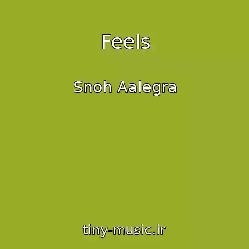 کاور آهنگ Feels از Snoh Aalegra