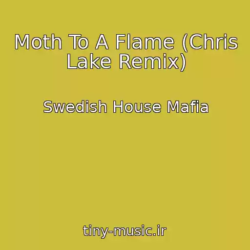 کاور آهنگ Moth To A Flame (Chris Lake Remix) از Swedish House Mafia