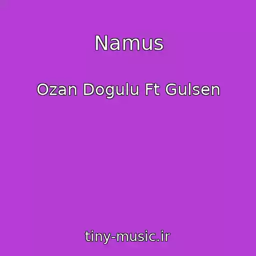 کاور آهنگ Namus از Ozan Dogulu Ft Gulsen