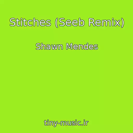کاور آهنگ Stitches (Seeb Remix) از Shawn Mendes