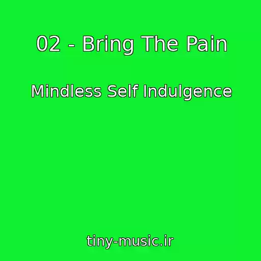 کاور آهنگ 02 - Bring The Pain از Mindless Self Indulgence