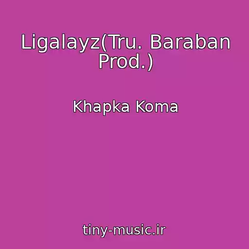 کاور آهنگ Ligalayz(Tru. Baraban Prod.) از Khapka Koma