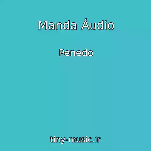 کاور آهنگ Manda Áudio از Penedo