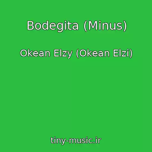 کاور آهنگ Bodegіta (Minus) از Okean Elzy (Okean Elzi)