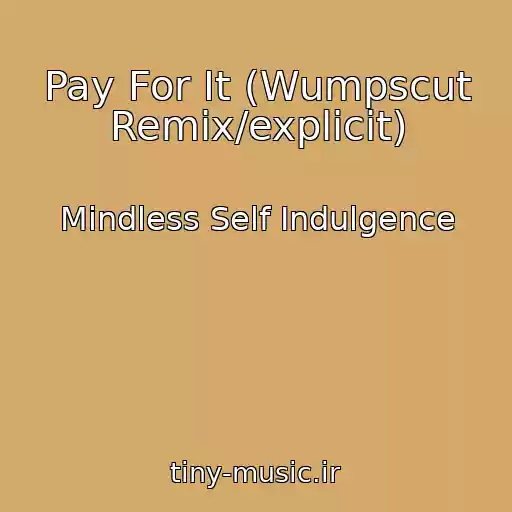 کاور آهنگ Pay For It (Wumpscut Remix/explicit) از Mindless Self Indulgence
