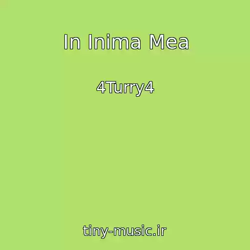 کاور آهنگ In Inima Mea از 4Turry4