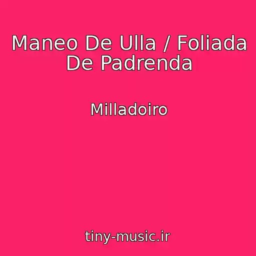 کاور آهنگ Maneo De Ulla / Foliada De Padrenda از Milladoiro