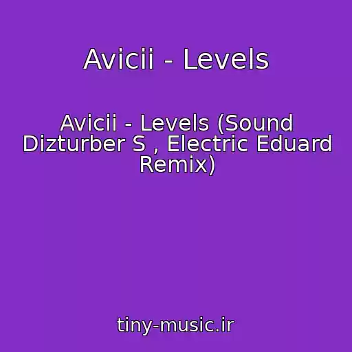 کاور آهنگ Avicii - Levels از Avicii - Levels (Sound Dizturber S , Electric Eduard Remix)