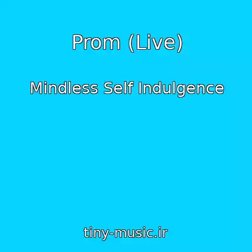 کاور آهنگ Prom (Live) از Mindless Self Indulgence