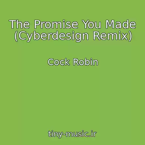 کاور آهنگ The Promise You Made (Cyberdesign Remix) از Cock Robin
