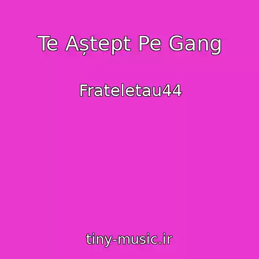 کاور آهنگ Te Aștept Pe Gang از Frateletau44