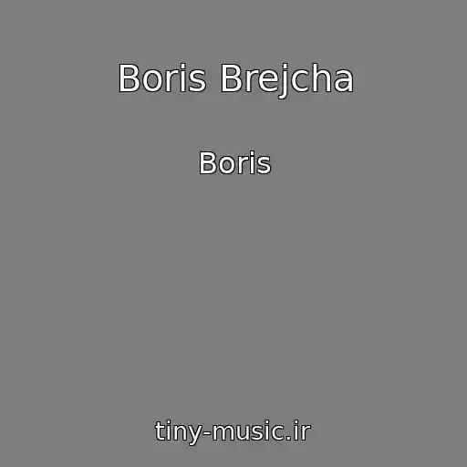 کاور آهنگ Boris Brejcha از Boris