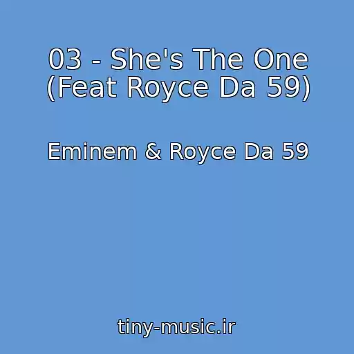 کاور آهنگ 03 - She's The One (Feat Royce Da 59) از Eminem & Royce Da 59