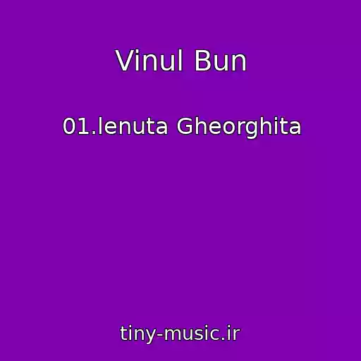 کاور آهنگ Vinul Bun از 01.lenuta Gheorghita