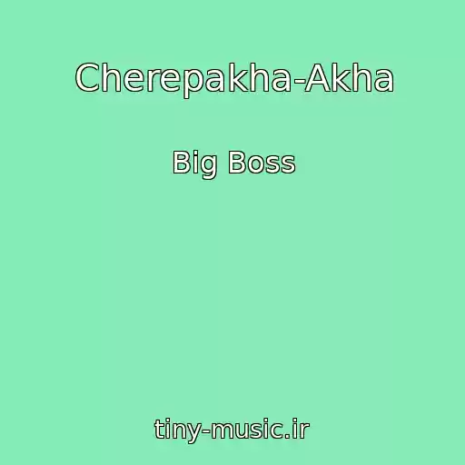 کاور آهنگ Cherepakha-Akha از Big Boss