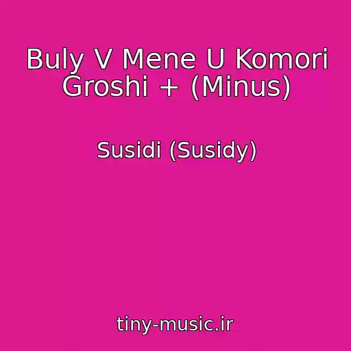 کاور آهنگ Buly V Mene U Komori Groshi + (Minus) از Susіdi (Susidy)