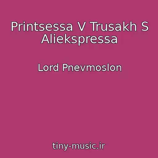 کاور آهنگ Printsessa V Trusakh S Aliekspressa از Lord Pnevmoslon