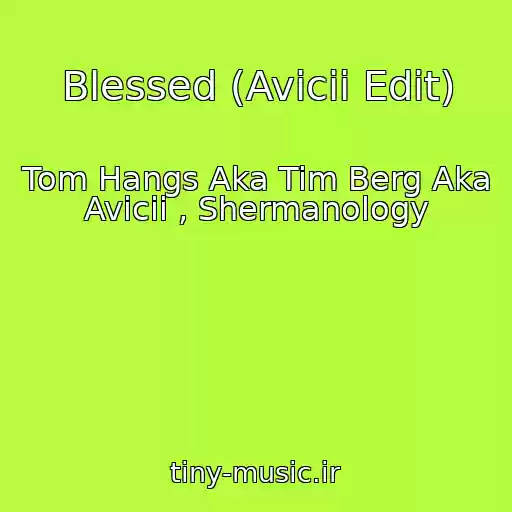 کاور آهنگ Blessed (Avicii Edit) از Tom Hangs Aka Tim Berg Aka Avicii , Shermanology
