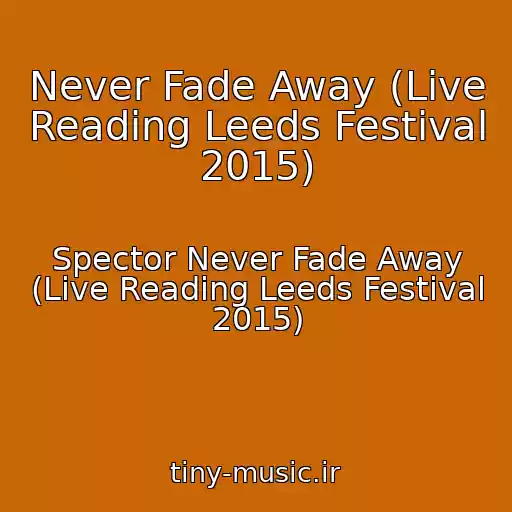 کاور آهنگ Never Fade Away (Live Reading Leeds Festival 2015) از Spector Never Fade Away (Live Reading Leeds Festival 2015)