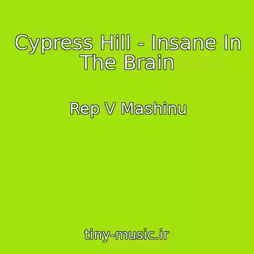 کاور آهنگ Cypress Hill - Insane In The Brain از Rep V Mashinu