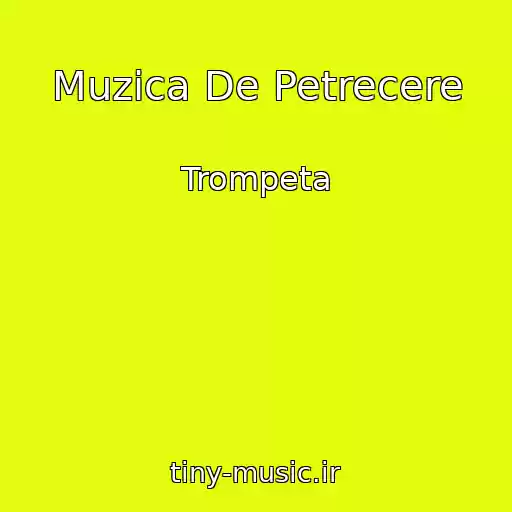 کاور آهنگ Muzica De Petrecere از Trompeta